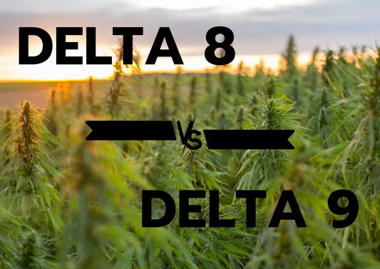 delta 8 vs delta 9