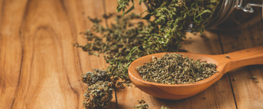 Tips for Storing & Preserving the Potency of Delta 8 & HHC Products