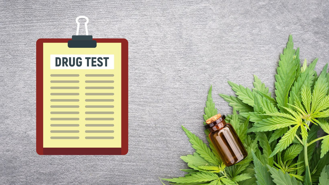 Will CBD Show Up on a Drug Test