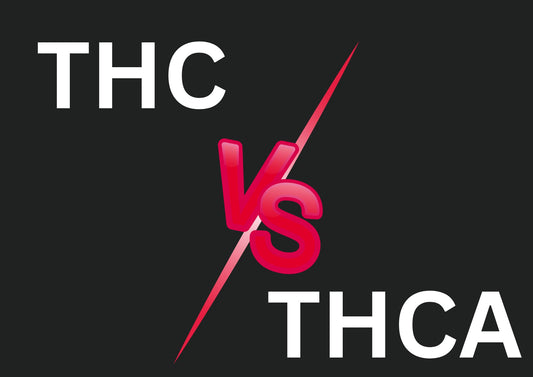 thc vs thca