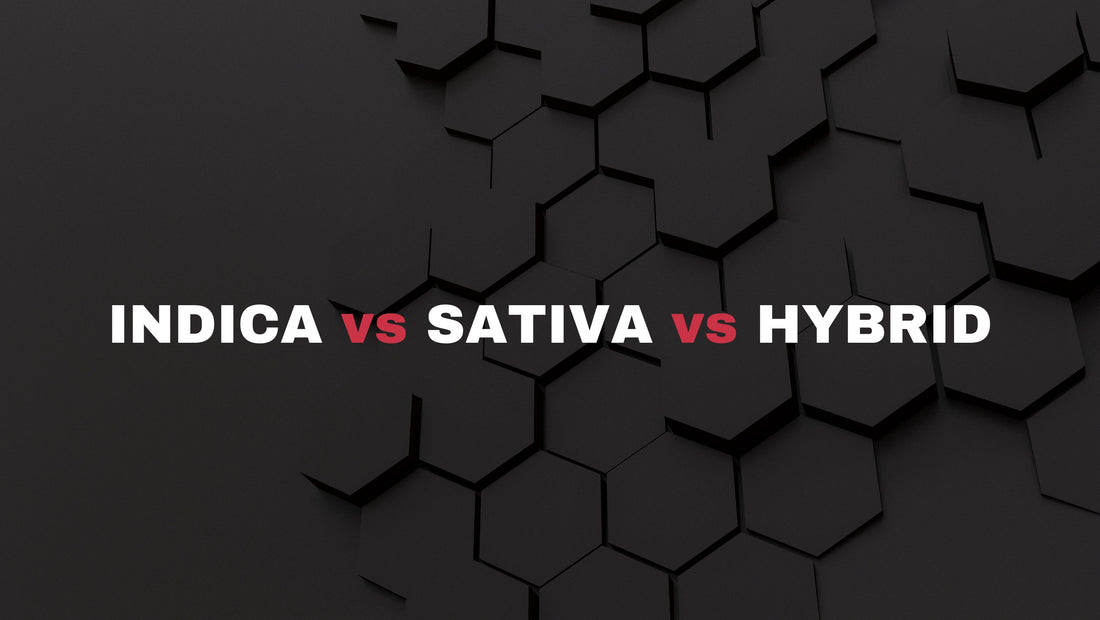 Indica vs Sativa vs Hybrids