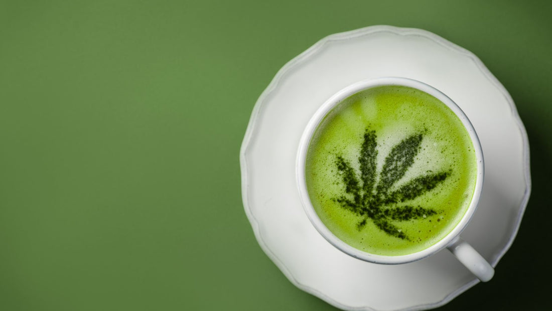 cannabis tea