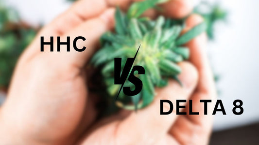 hhc vs delta 8