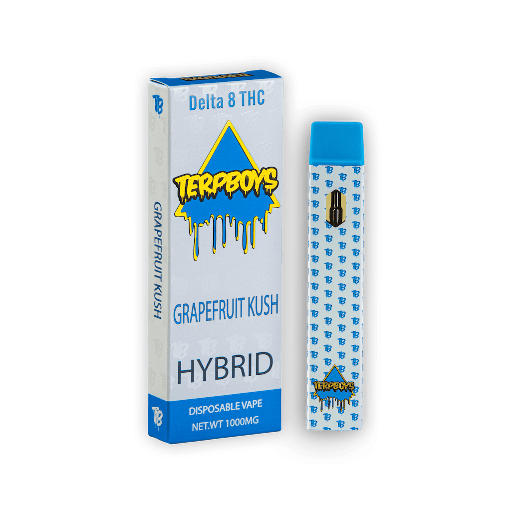 hybrid delta 8 thc disposable vapes