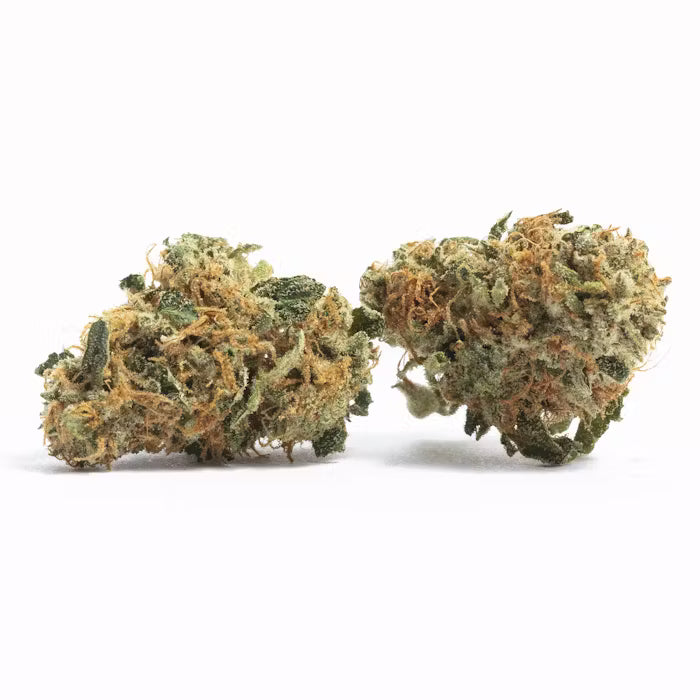 Maui Waui THCA Sativa